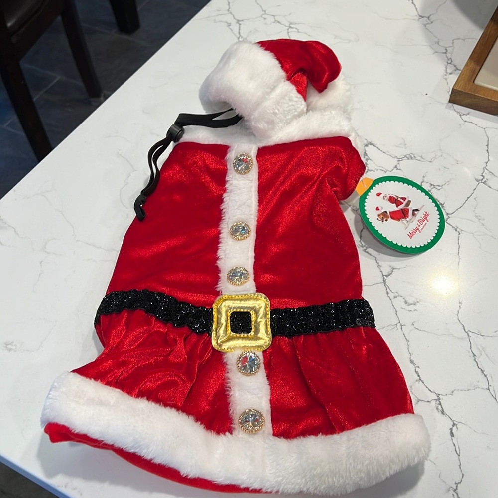 Mrs Claus pet dress and hat